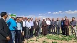 آغاز فعالیت پنجمین کاروان بزرگ ترویجی الگوی کشت پاییزه محصولات زراعی در استان کرمان